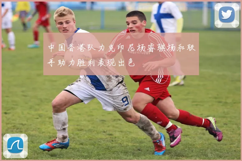 中国香港队力克印尼杨睿骐杨和联手助力胜利表现出色