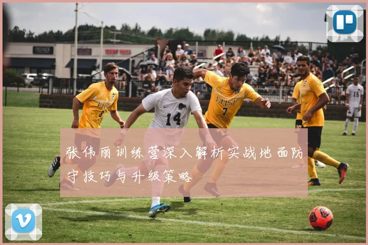 张伟丽训练营深入解析实战地面防守技巧与升级策略
